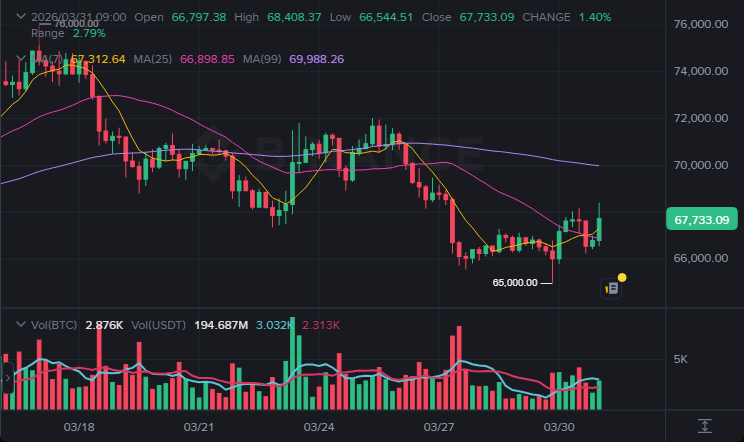BTC 4시간봉 차트 (2026-03-31 12:44 KST)