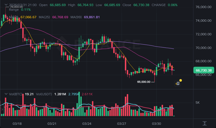 BTC 4시간봉 차트 (2026-03-31 21:00 KST)