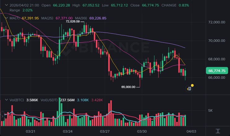 BTC 4시간봉 차트 (2026-04-02 23:30 KST)