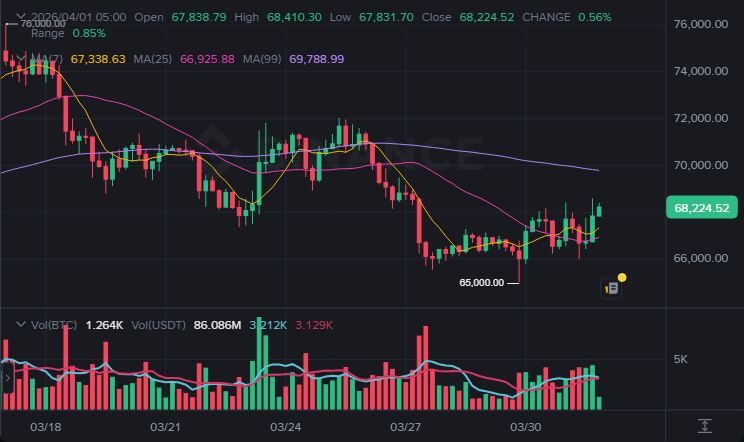 BTC 4시간봉 차트 (2026-04-01 07:00 KST)